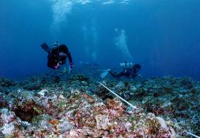 Okinawa coral reef deteriorating: researchers